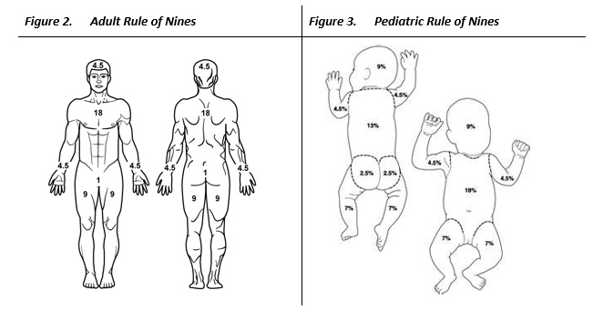 Prolonged Casualty Care Guidelines