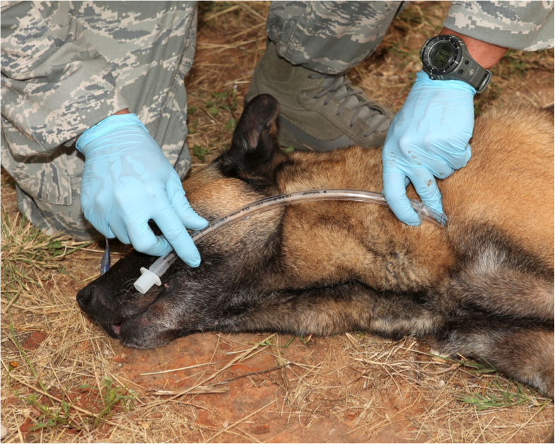 Figure 1.  Measure how far to advance the endotracheal tube