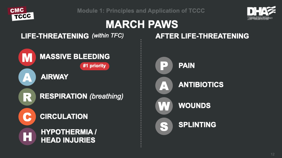 Module 1: Principles and Application of Tactical Combat Casualty Care ...