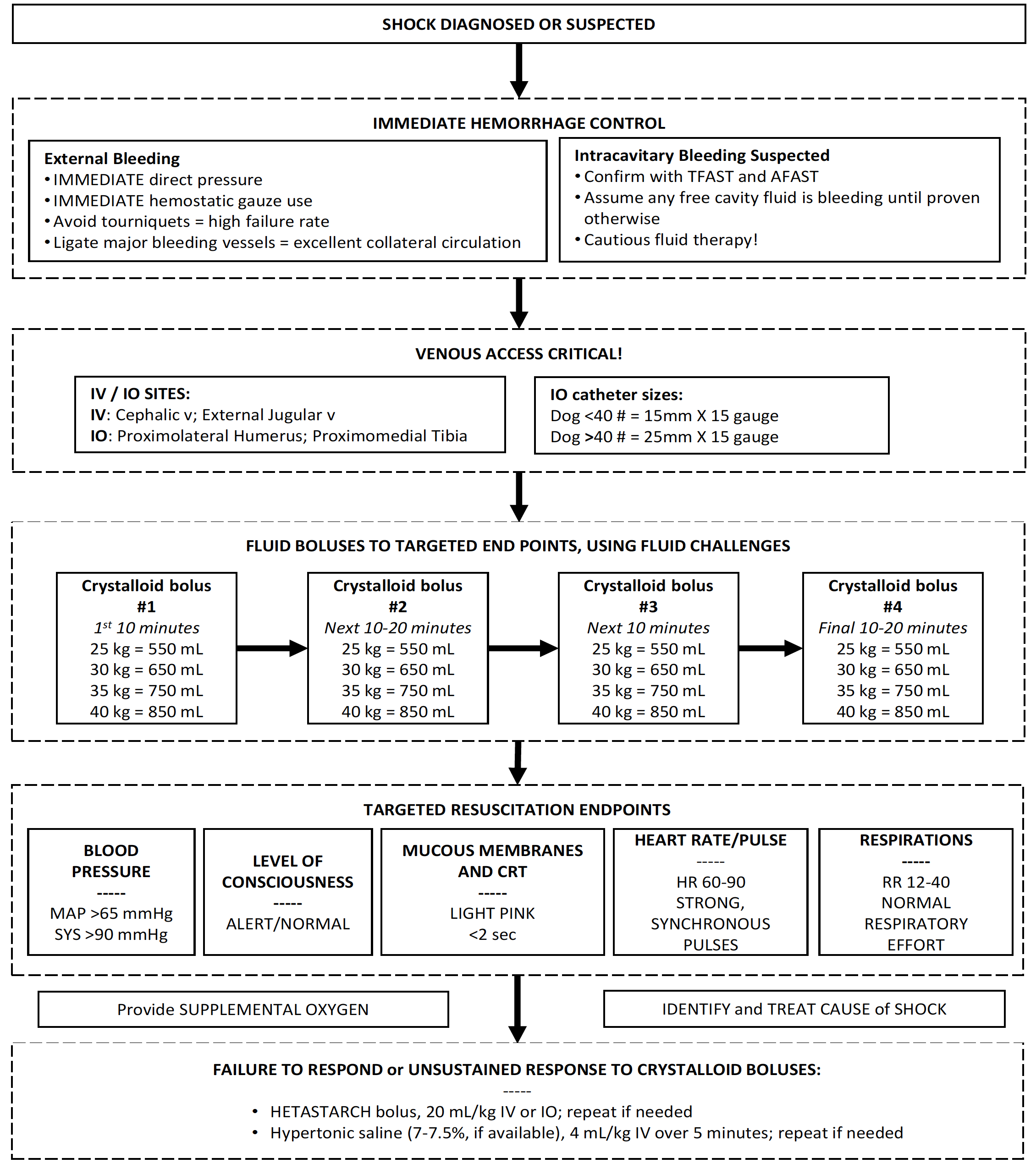 Canine Bleeding Treatment