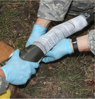 Figure 38.  Wrap gauze bandage tape around splint