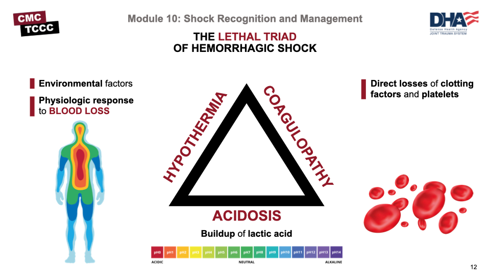 Lessons in Transport - The Lethal Triad  Taming the SRU