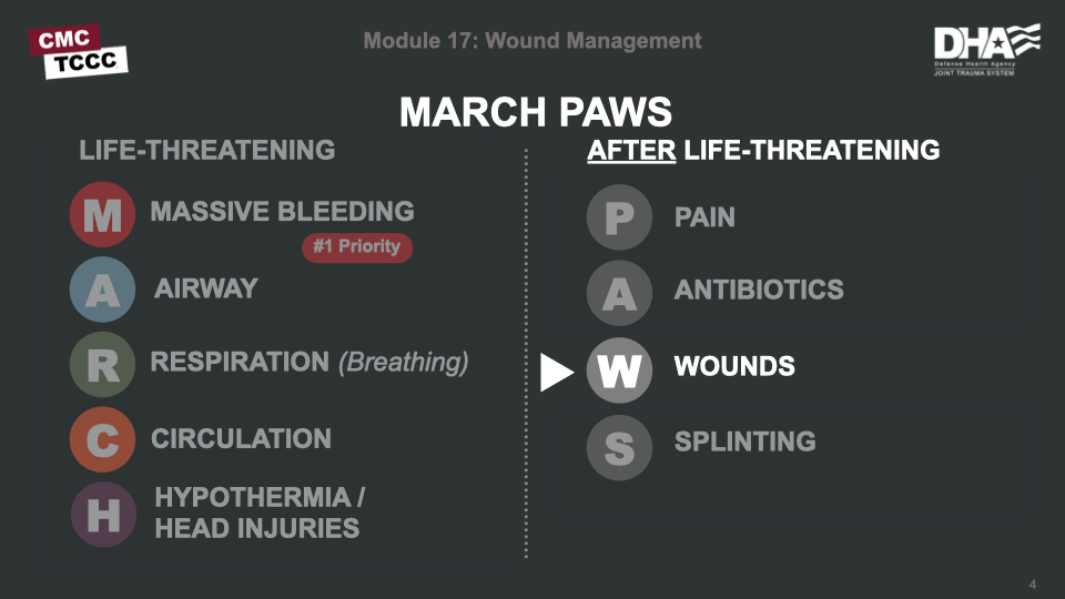 module-17-wound-management