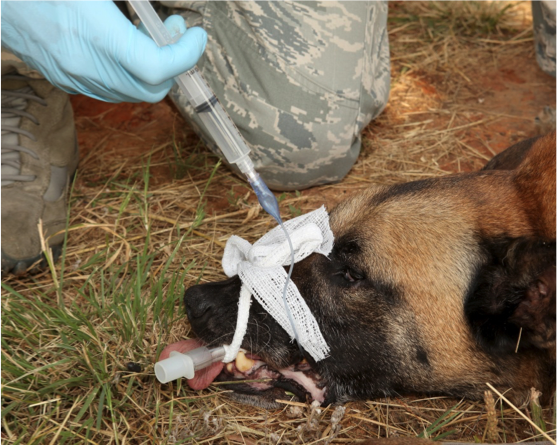 Figure 8.  Inflate the cuff with a syringe until back pressure is noted