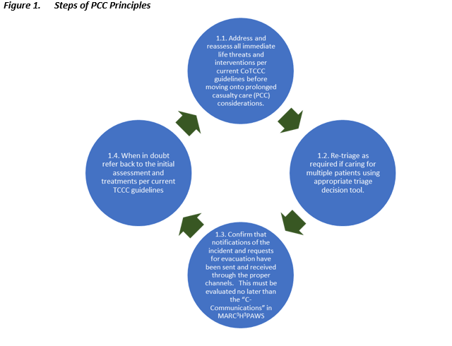 Prolonged Casualty Care Guidelines